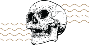 skull-element
